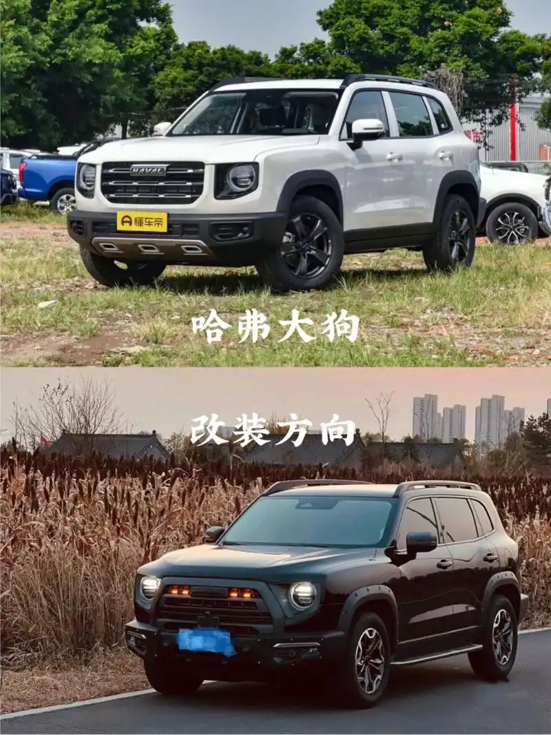 【个人喜爱的改装】———哈弗大狗 具体车型:哈弗大狗价位区间:0-30