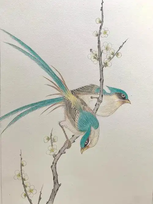 彩铅画花鸟