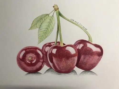 小蓓蕾书画室2020年暑期彩色素描班创意素描课程安排