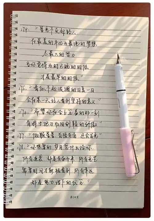 手写体大气霸气练字帖女生字体练字漂亮行楷行书行草练字本