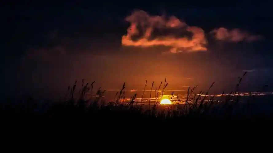 喜欢的朋友快快收藏分享了~想要更多更好看的图片就来纯色壁纸吧
