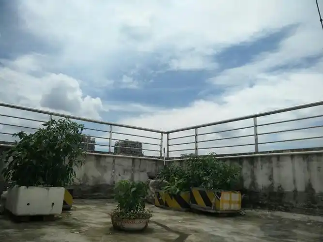 天台也是风景线