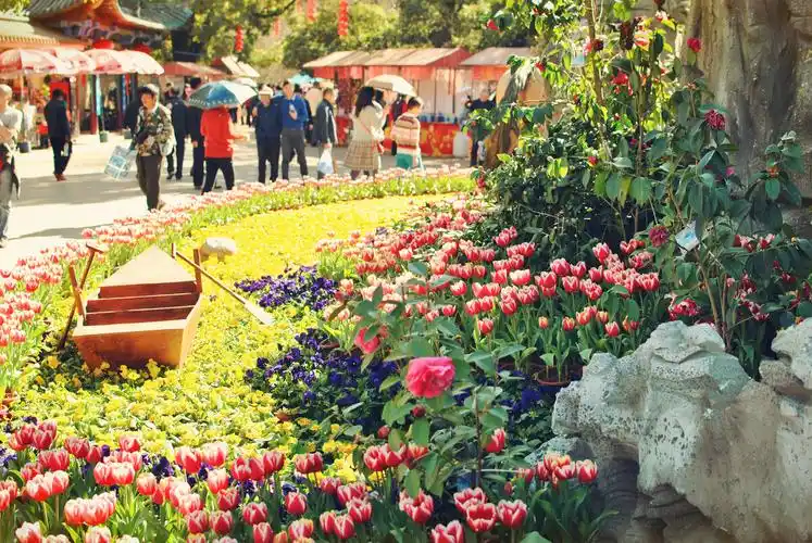 园游会 - 园游会 - 雨广山 - 图虫摄影网