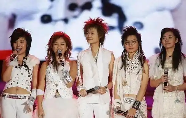 自2004年开始,中国选秀节目《超级女声》一经推出便迅速引起了广泛