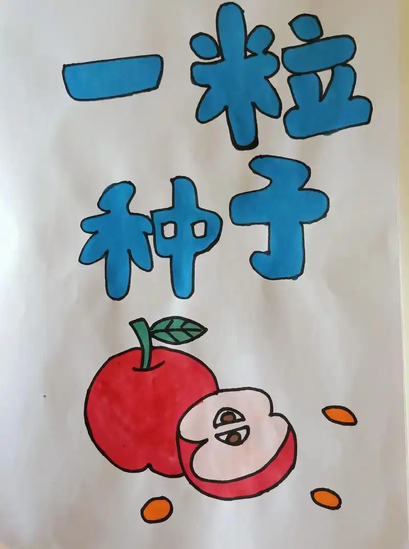 自制绘本《一粒种子》 - 抖音