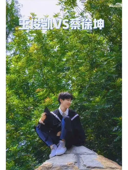 王俊凯vs蔡徐坤