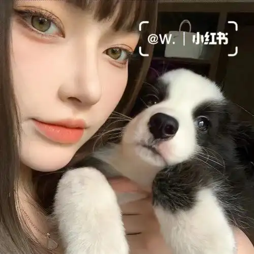 情侣头像对象不是人系列