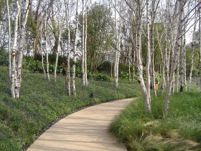 西安龙湖曲江盛景