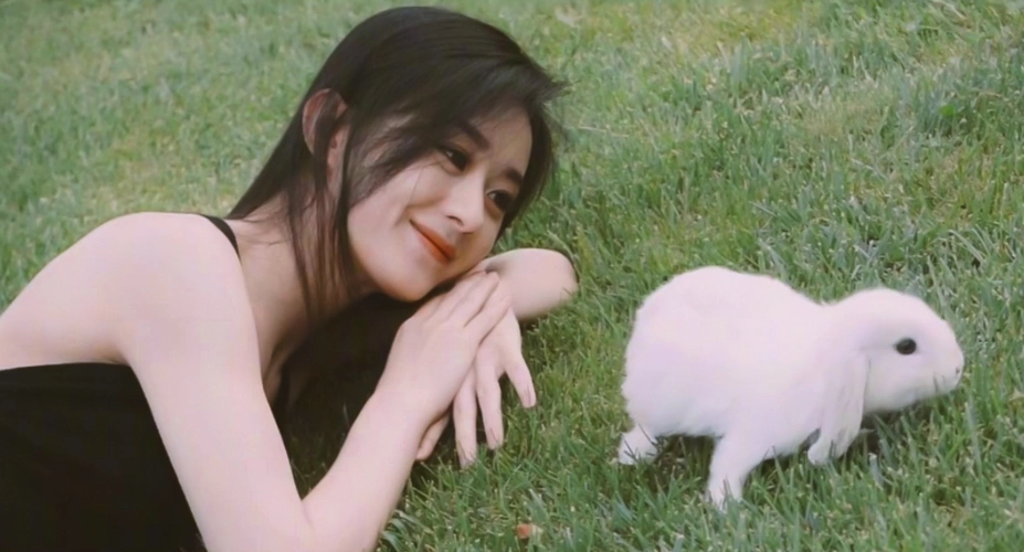 赵丽颖曝写真花絮趴草地上与小兔子互动岁月静好