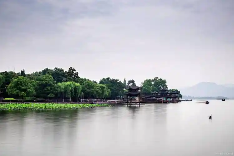 传统_西湖_美食