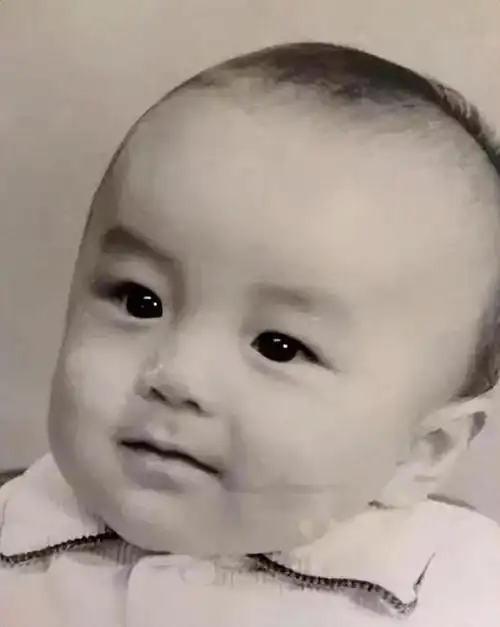 从"卫视一哥"到无人问津,毁掉汪涵的不是高山,而是一粒尘土|田源|钱枫