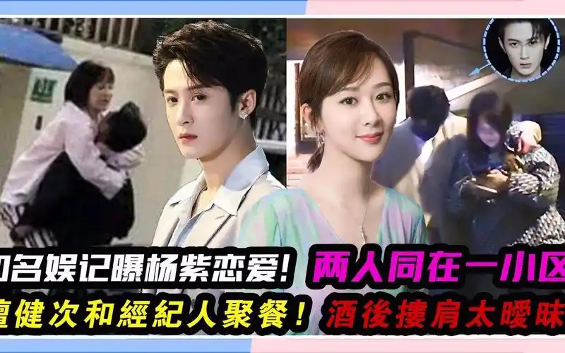 杨紫#肖战#白鹿#张凌赫#张艺兴