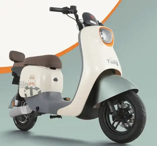 电动车新国标限制速度外,为啥还限制重量?车主列出"5个"弊端