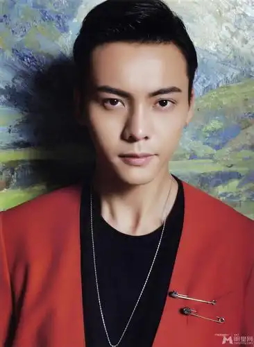 陈伟霆高清图片写真-陈伟霆明星壁纸高清图片-陈伟霆儿子(24p)