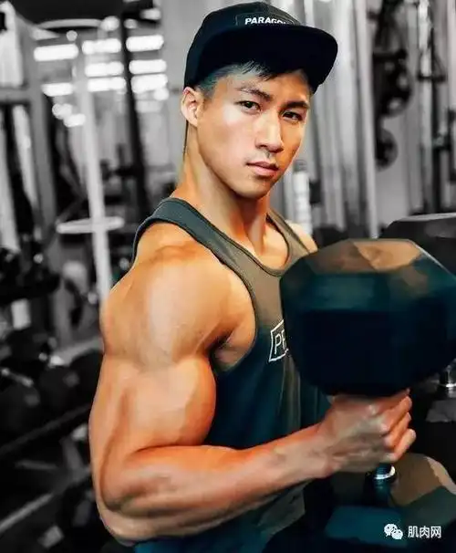 工科型男alex,瘦子到完美肌肉男的蜕变