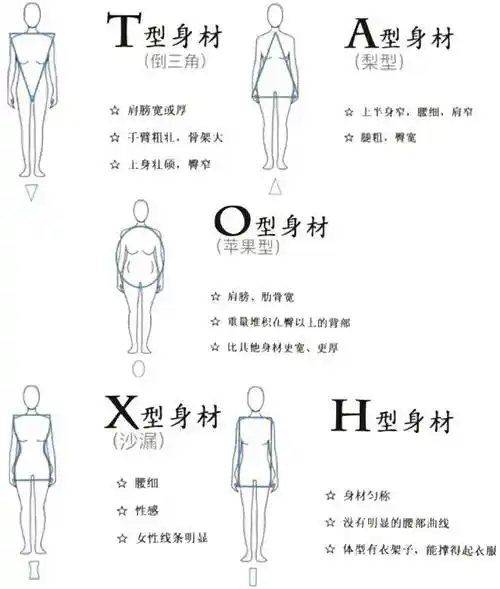 茜子颜究|如何一眼正确认识自己的体型?_身材_臀围_女性