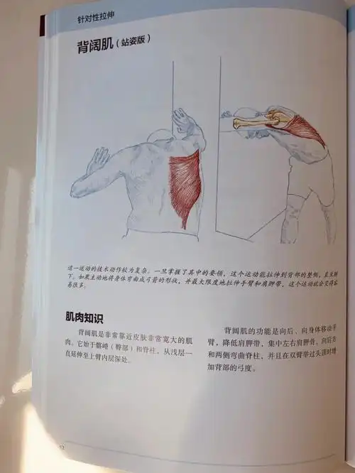 拉伸分享背阔肌