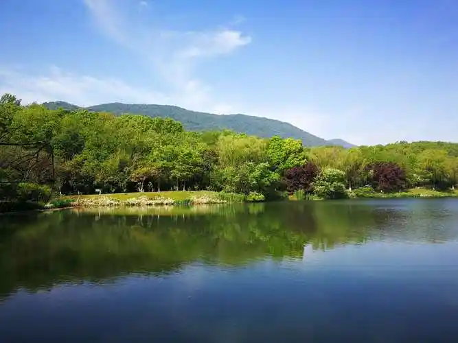 美丽的紫金山庄