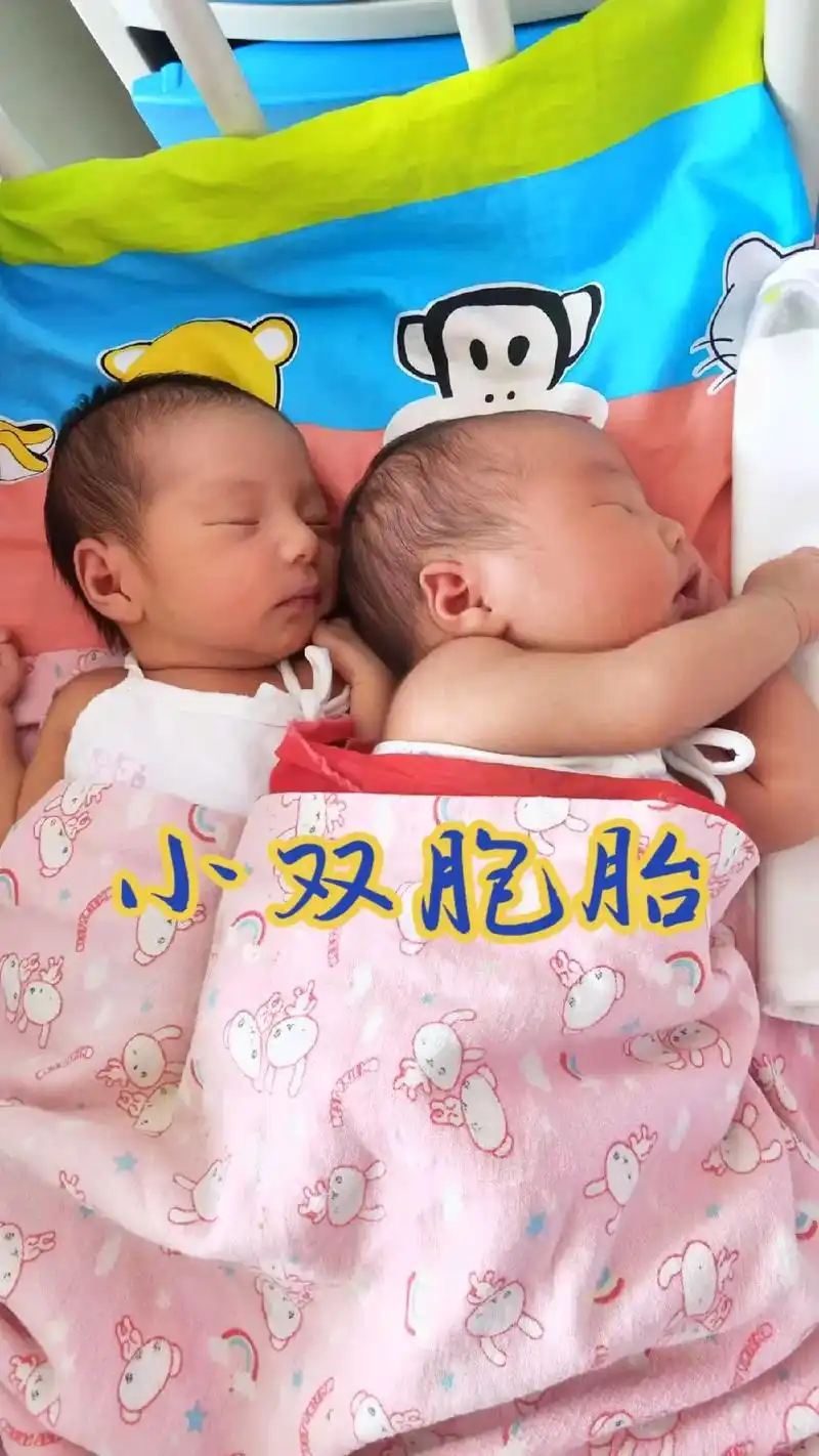 两对双胞胎.幸福是陪伴你们慢慢长大!知足是有你们真好!没有华 - 抖音
