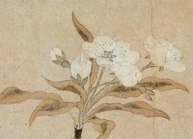 元代钱选《梨花图》欣赏!