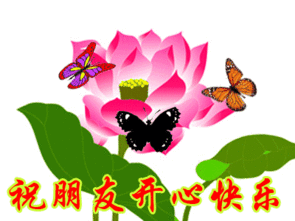 295_221gif 动态图 动图