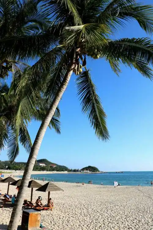 海南……三亚……美丽的南国风光