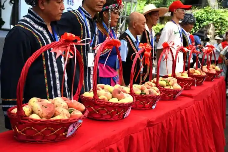 铅山蟠桃盛宴已开启你准备好了吗