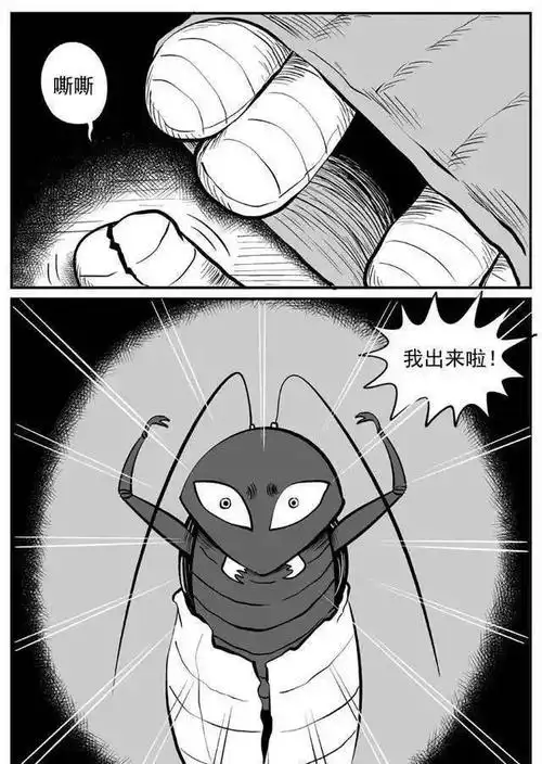 九成人不知道蟑螂天敌是啥屋子里放个它蟑螂就消失不见了