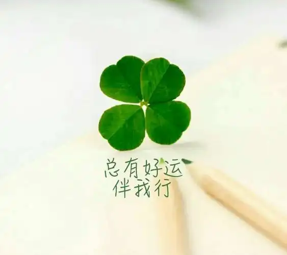 简约四叶草,望赞79_唯美图片_我要个性网