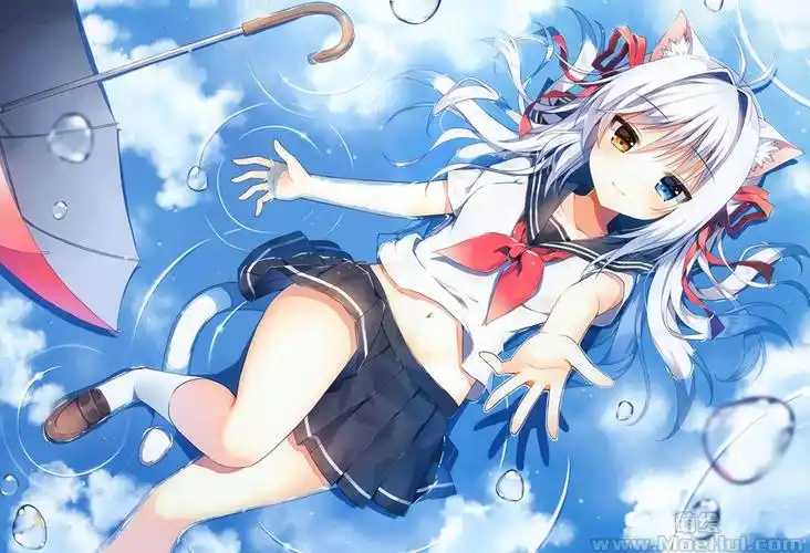 会员画集watapunchmauvekutatanekopunchsailor12p