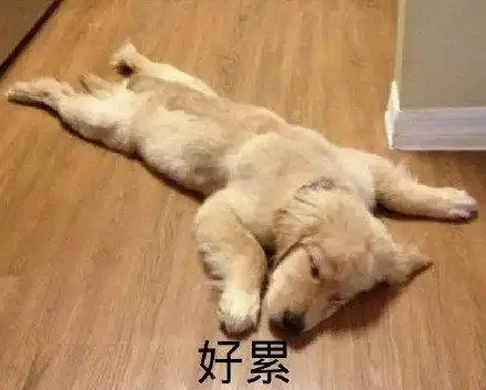 萌宠gif汪星人gif好累gif累趴了gif可爱gif憨憨gif