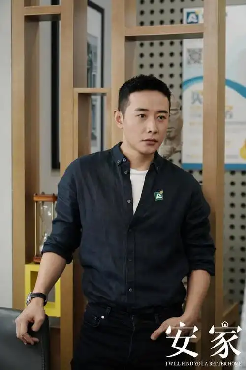 安家看了徐姑姑重新爱上罗晋徐文昌角色魅力不止于卖房高手
