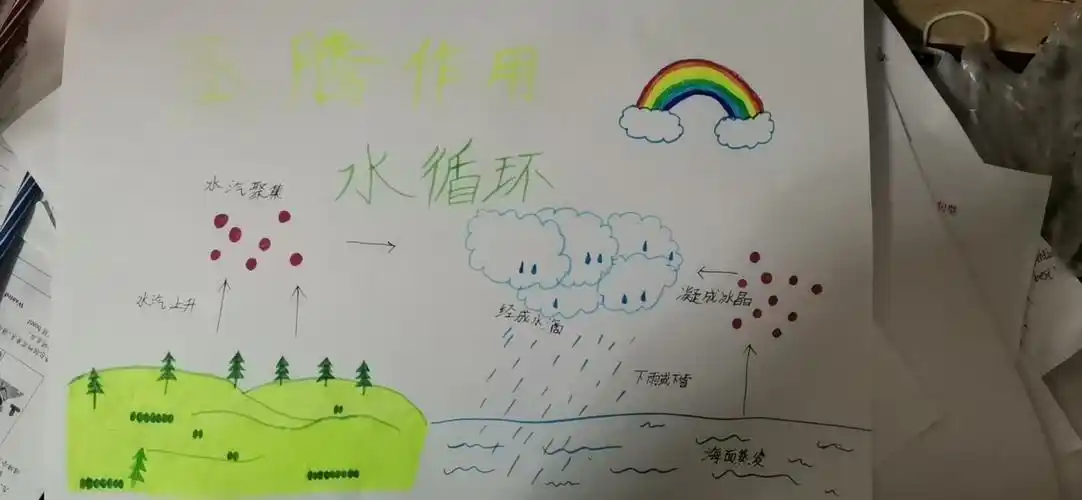 蒸腾作用与水循环手抄报节约用水手抄报