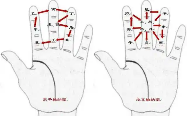 学习《周易》可知八卦分为伏羲先天八卦和文王后天八卦,古人以左手