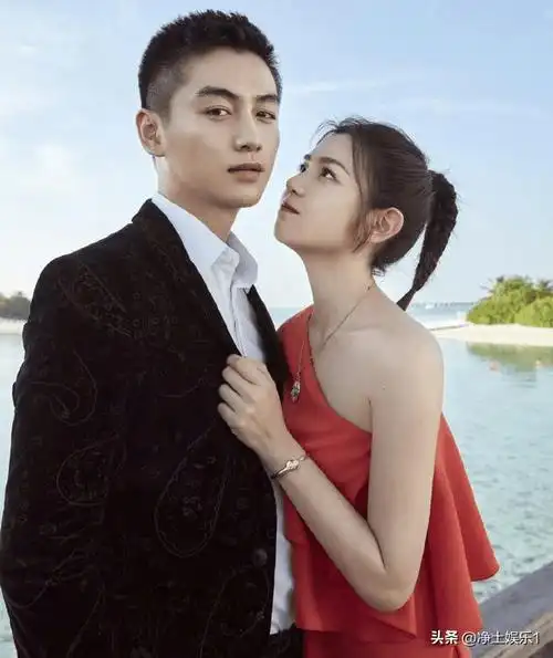 英雄救美深情告白陈晓陈妍希的真实爱情细水长流的幸福相伴