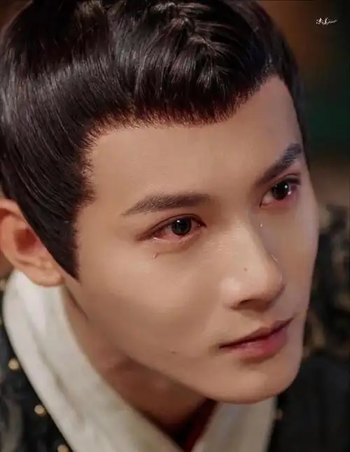 郑业成出演过哪些电视(郑业成为何总演古装剧男主)(6)