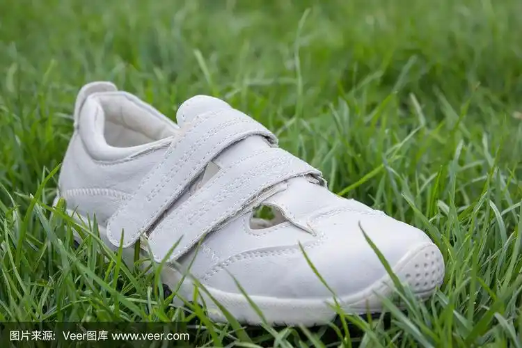 一只鞋在草地上