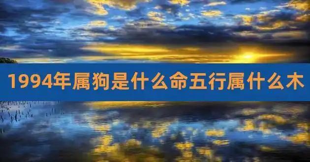 1994年属狗是什么命五行属什么木,1994年属狗人是木命还是火命