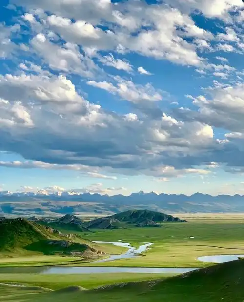 新疆大学生推小车收快递