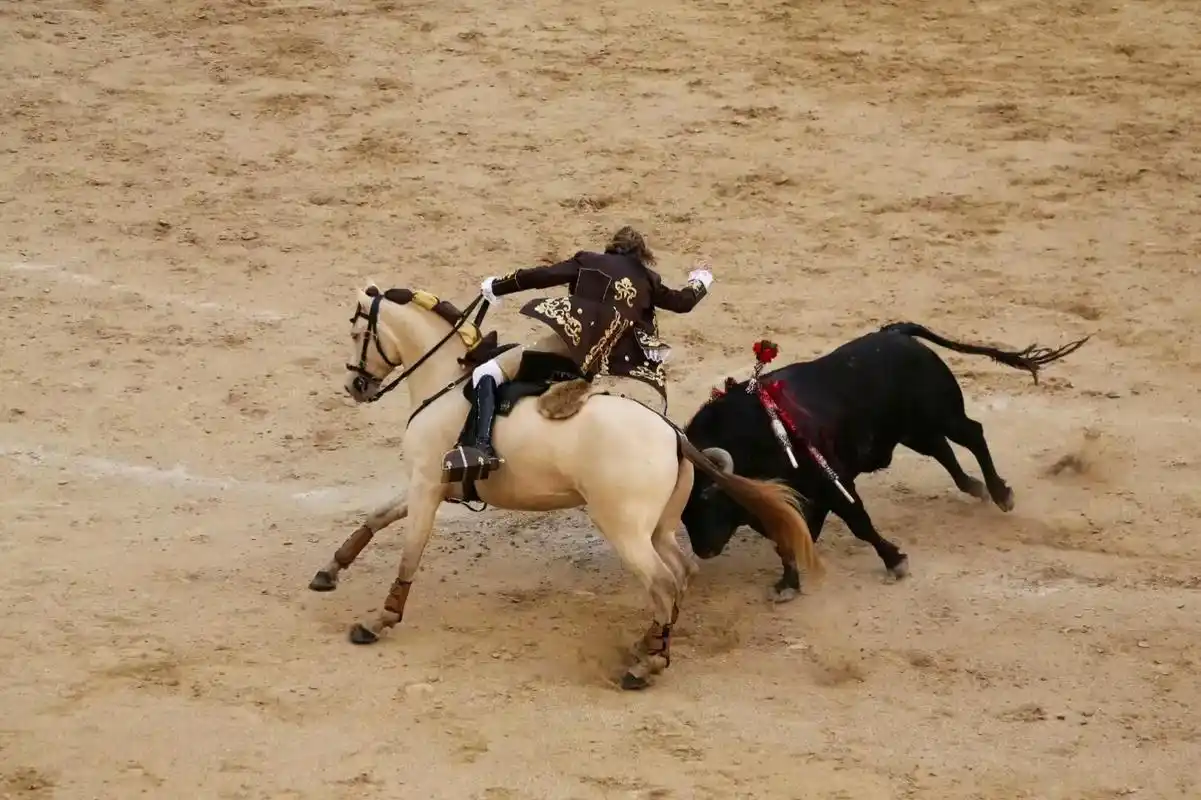 世上最惊险与刺激的竞技运动一一西班牙斗牛.