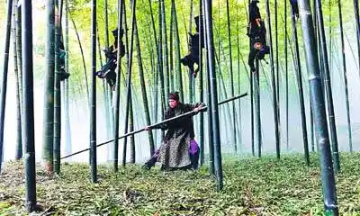 竹林打斗的场景在《十面埋伏》中十分经典