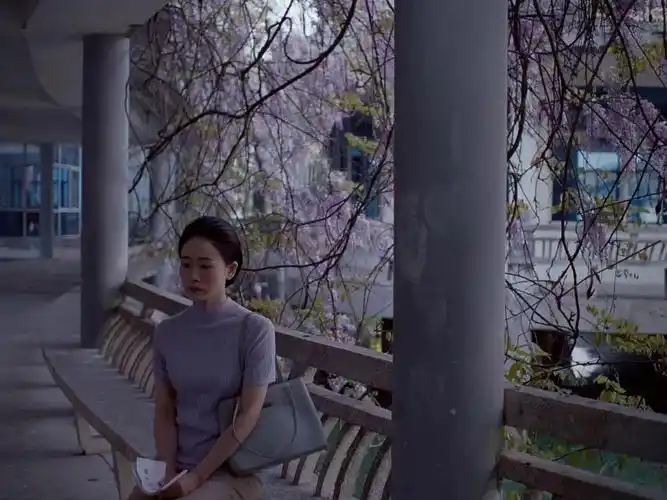 澎湃号·湃客_澎湃新闻-the paper