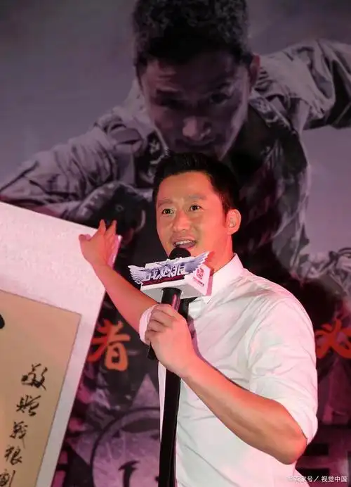 高开低走的甄子丹和吴京都火了,赵文卓为什么始终差口气