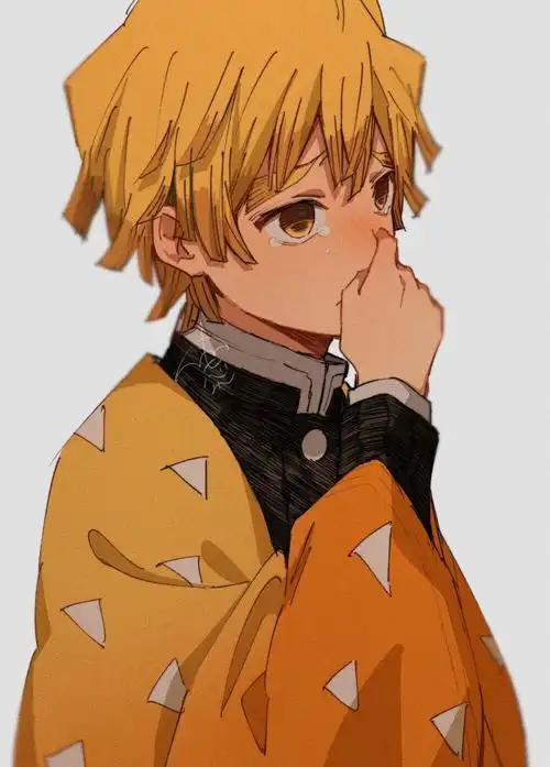 我妻善逸73 - 堆糖,美图壁纸兴趣社区