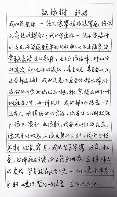 舒婷致橡树钢笔字笔友习作欣赏