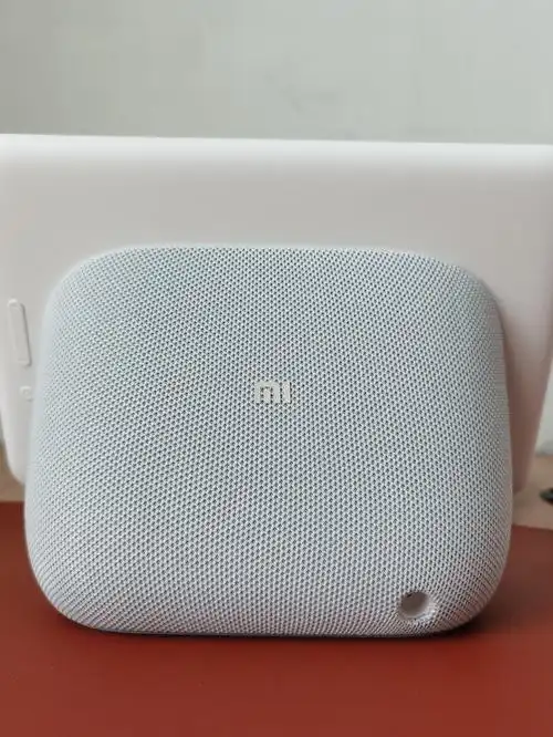 小爱触屏音箱pro 8内置了爱奇艺和优酷,可以直接用这两个app看视频.