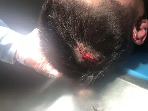 安溜街大白天一行5人进店围殴店面老板,连同老人孕妇一起打,扬言已经