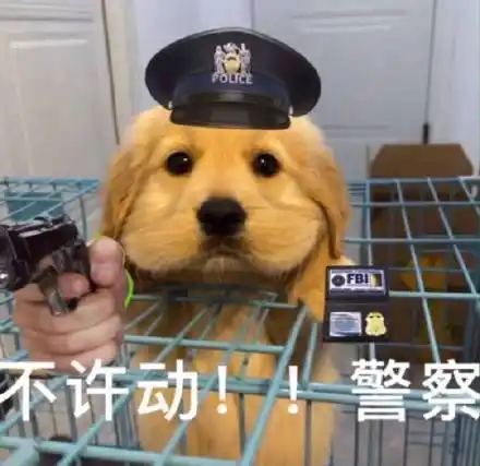 police fbi 不许动!警察(狗勾表情包)_fbi_police表情