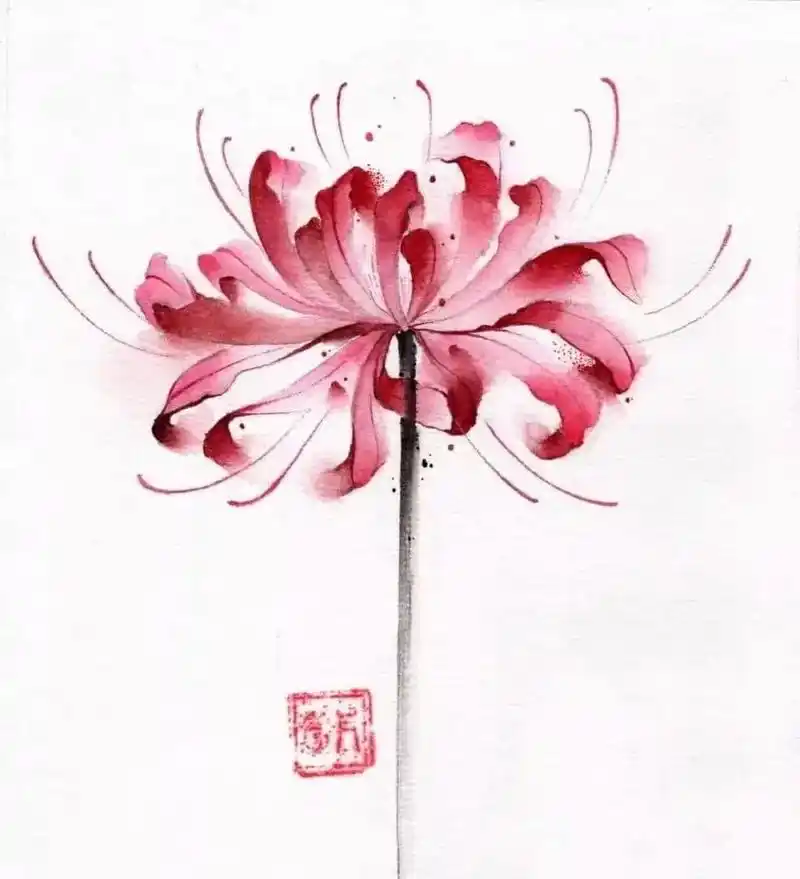 彼岸花纹身意义:唯美,优雅 花语是伤感,回忆,纯洁, - 抖音