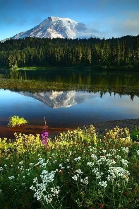 大自然美景#世界很大,风景很美,心情不好的时候,就看看窗外,或来页